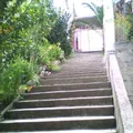 Vanguardia