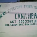 Cananea