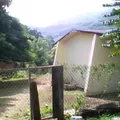 Flores Magon