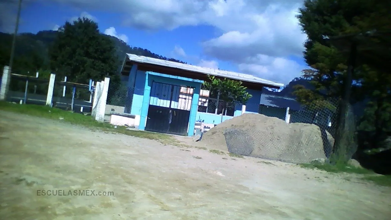 Alfonso Caso Entrada