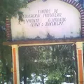 Vicente Guerrero