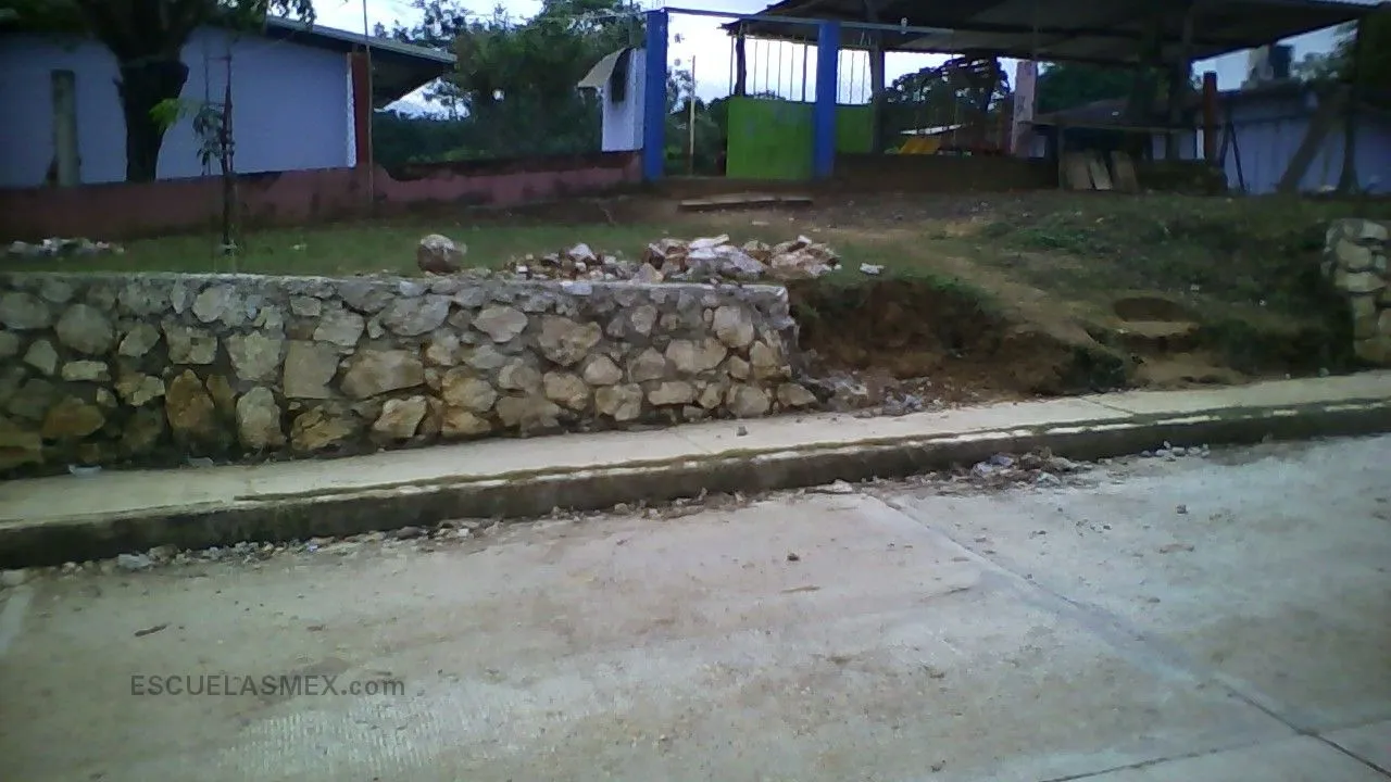 Ing. Jorge L Tamayo Entrada