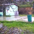 Carlos A Carrillo