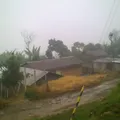Chimalpopoca