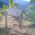 Amado Nervo
