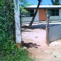 Amado Nervo