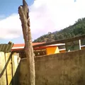 Cuauhtemoc