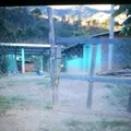 Xochitl