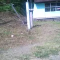 Solar Mixe