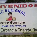 Vicente Guerrero