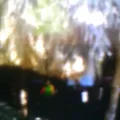Educacion Inicial Indigena