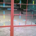 Jesus Rasgado