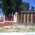 Arturo Rivas Saenz