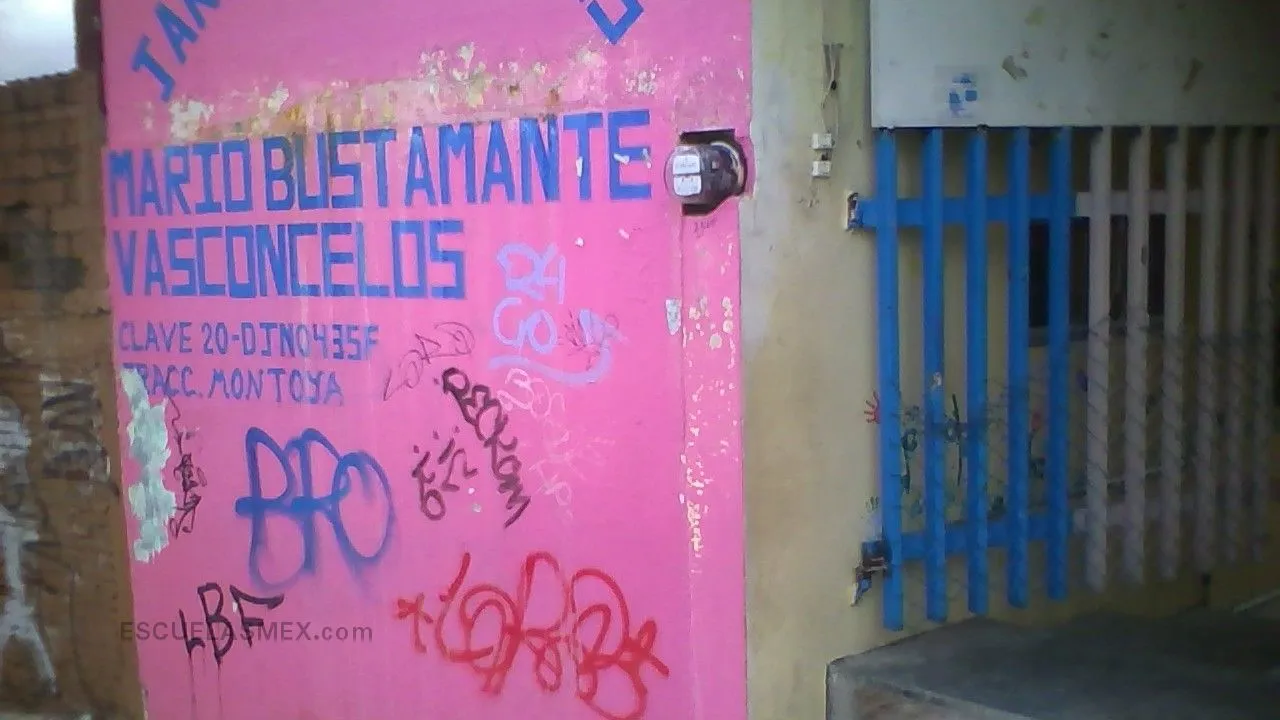 Mario Bustamante Vasconcelos Entrada