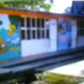 Ricardo Flores Magon