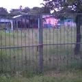 Niños Heroes