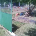 Maria Montessori