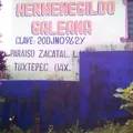 Hermenegildo Galeana