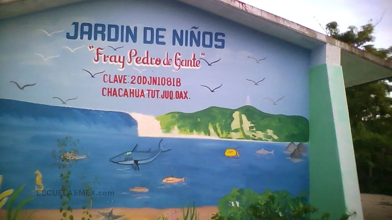 Fray Pedro de Gante Entrada