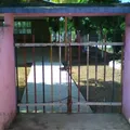 Maria del Carmen Serdan