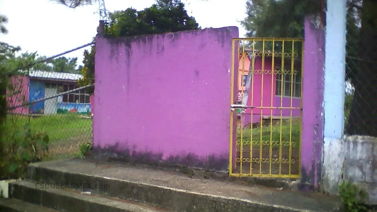 Jean Piaget Entrada