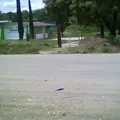 Agustin Melgar