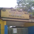 Rosa Agazzi