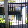 Rosario Castellanos