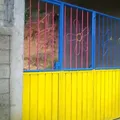 Luz de la Montaña