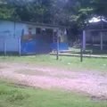 Rosaura Zapata