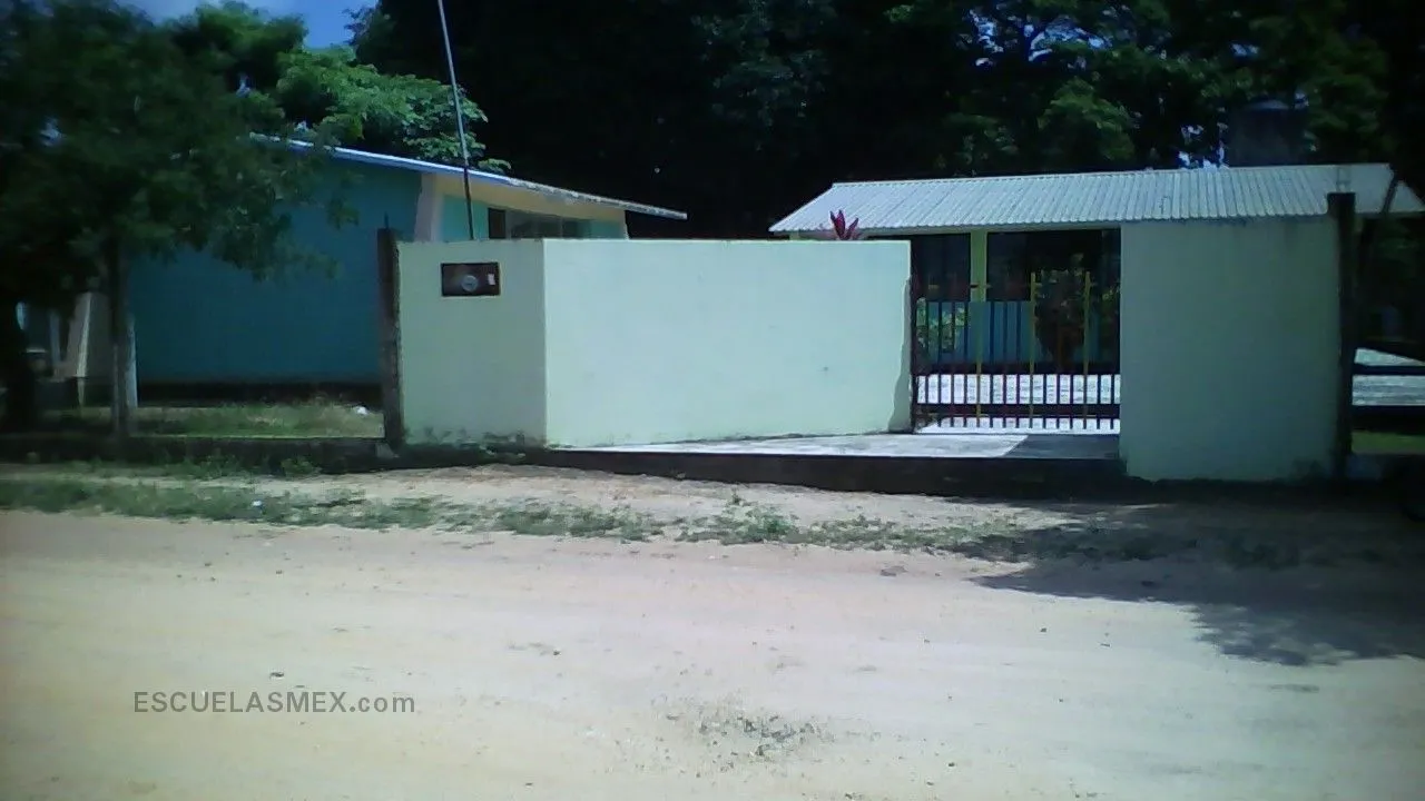 Jean Piaget Entrada