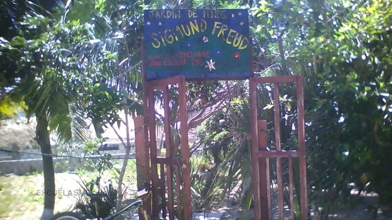Sigmund Freud Entrada