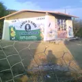 Juan Escutia