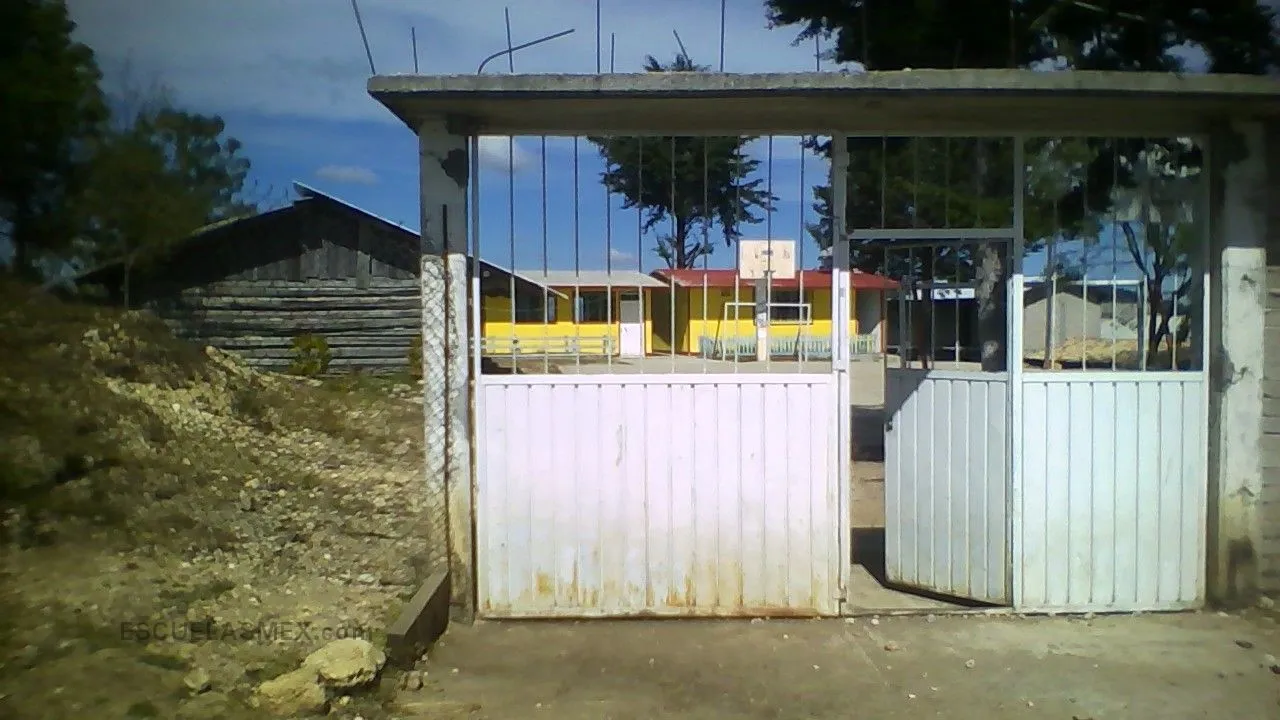 Ovidio Decroly Entrada