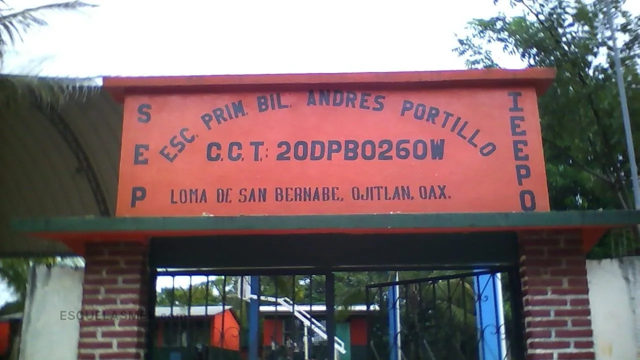 Andres Portillo Entrada