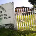Pipila