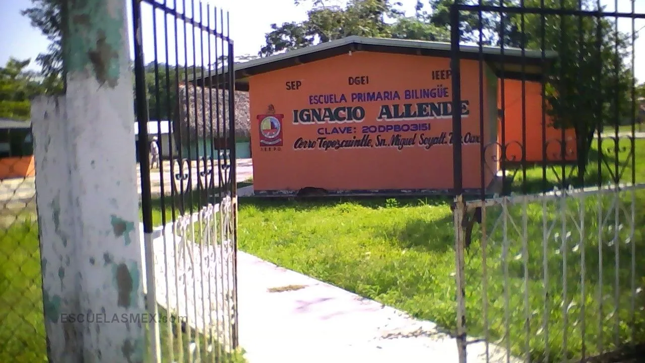 Ignacio Allende Entrada