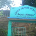 Lazaro Cardenas