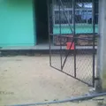 Ricardo Flores Magon