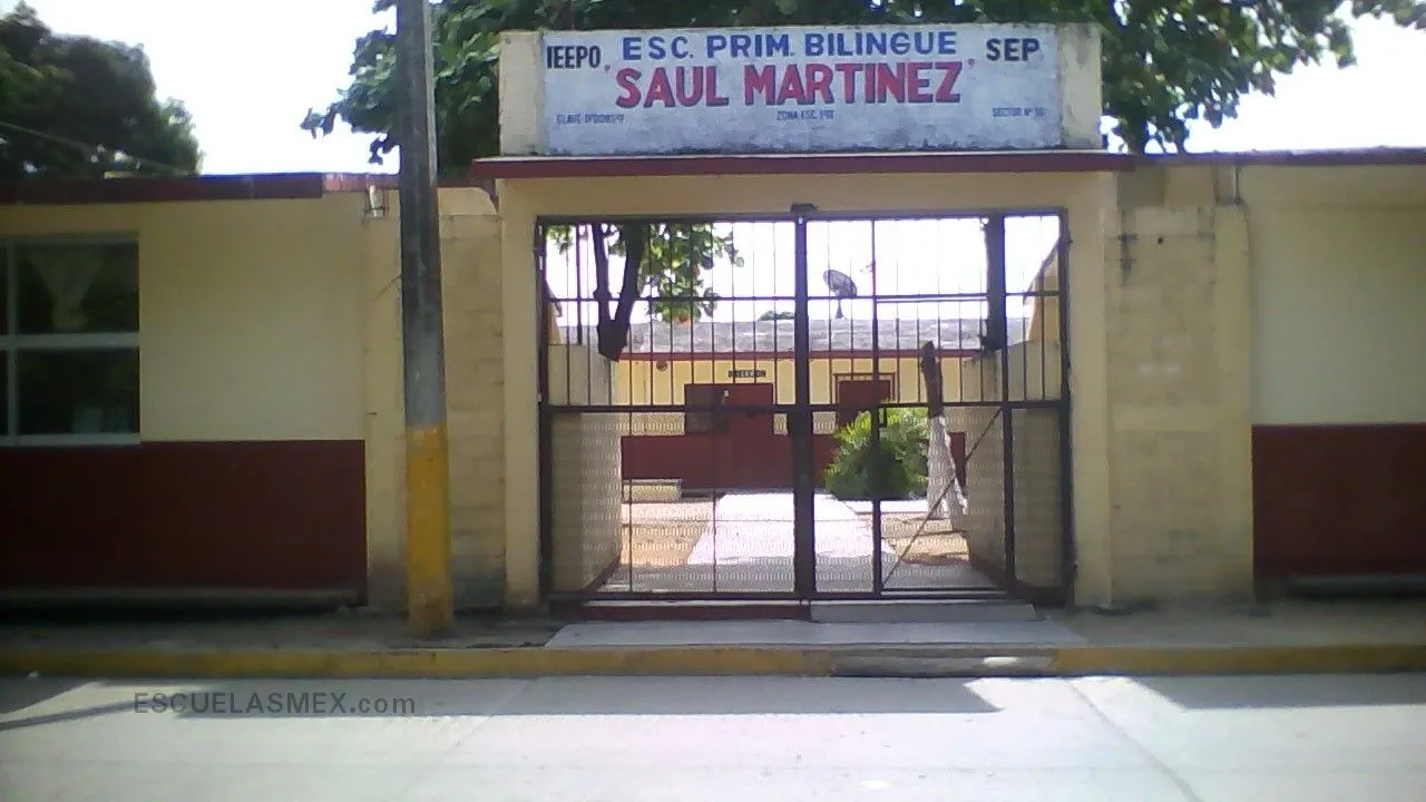 Saul Martinez Entrada
