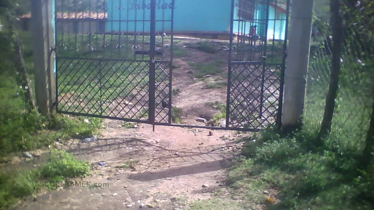 Libertad Entrada