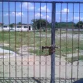 Constitucion