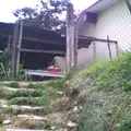 Moises Saenz