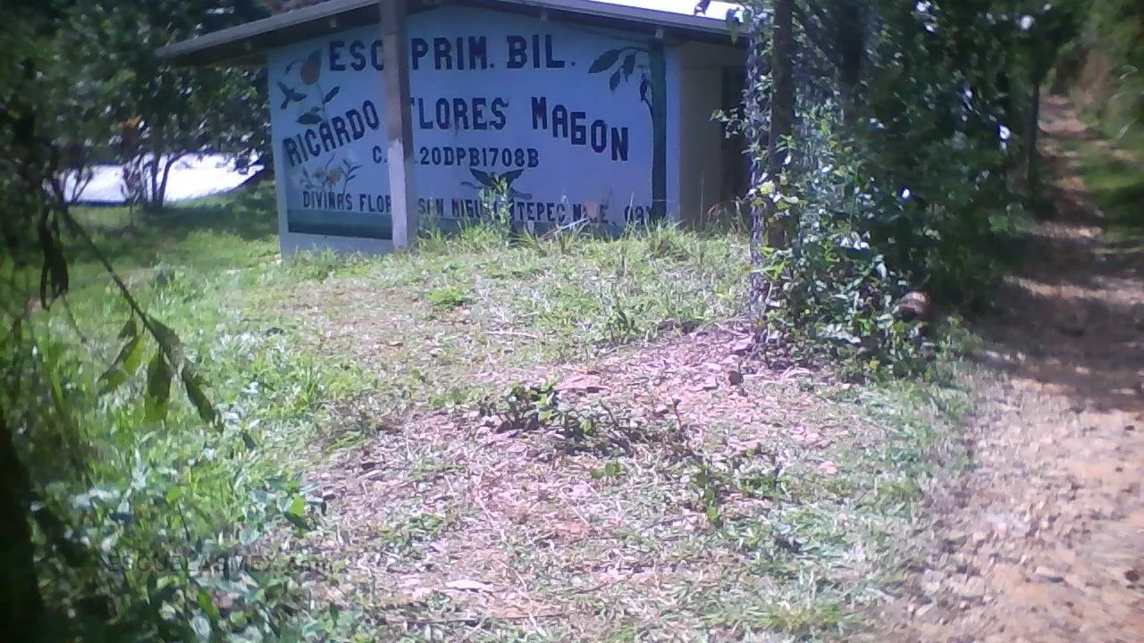 Ricardo Flores Magon Entrada