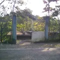 Ricardo Flores Magon