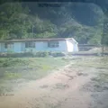 Tierra y Libertad