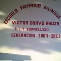 Victor Bravo Ahuja