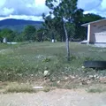 Tierra y Libertad