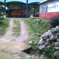 Luis Donaldo Colosio Murrieta