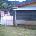 Amado Nervo